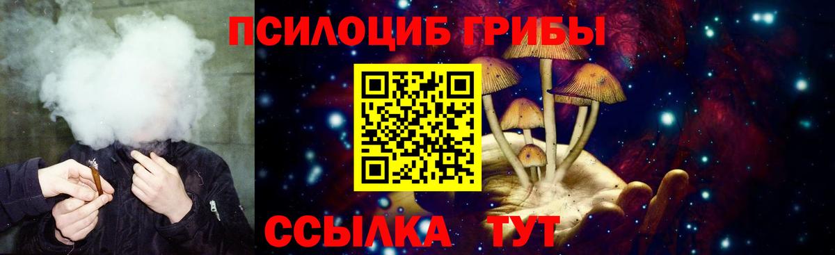 Псилоцибиновые грибы мицелий Ревда